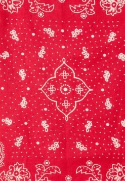 PAISLEY BANDANA - Tuch - Regular Red -Herrenbekleidung 08371461b2b1468b98ecd74d4bdfed98