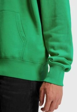 ESPRIT COLOR DOLPHIN - Kapuzenpullover - Green -Herrenbekleidung 0f584c60afad4fc0b779ba1af8da6650