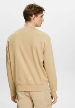 ESPRIT MIT KLEINEM DELFINPRINT - Sweatshirt - Sand -Herrenbekleidung 130b5ea360e945f78a6e576b15b2e41d