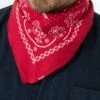 PAISLEY BANDANA - Tuch - Regular Red -Herrenbekleidung 2996d03473b749f98726c41953107eb3