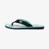 Quiksilver MOLOKAI LAYBACK - Zehentrenner - Green/blue/yellow 1 Quiksilver MOLOKAI LAYBACK - Zehentrenner - Green/blue/yellow -Herrenbekleidung 65a3293dcd3e4ae0b3793f93b7d8ef5a