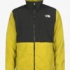 THE NORTH FACE FLEECEJACKE DENALI 2 - Fleecejacke - Acid Yellow 1 THE NORTH FACE FLEECEJACKE DENALI 2 - Fleecejacke - Acid Yellow -Herrenbekleidung 6cda109e0176424cad6a61c98e759d1e