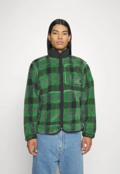 The North Face EXTREME PILE JACKET - Fleecejacke - Deep Grass Green -Herrenbekleidung 8f5e270ad09942acb3bf2d4e745d2424