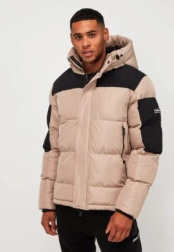 PEYTON SHORT PUFFER JACKET - Winterjacke - Stone