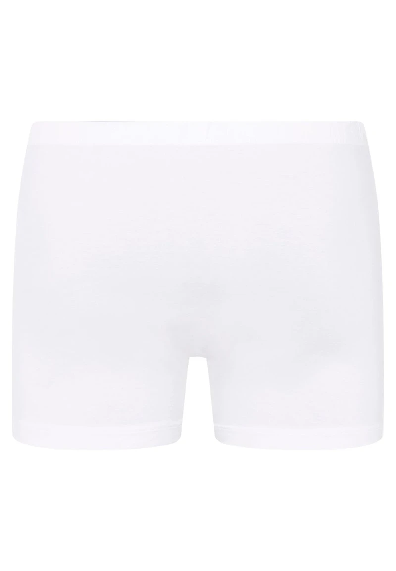 HANRO Panties - White 8 HANRO Panties - White – Bild 6