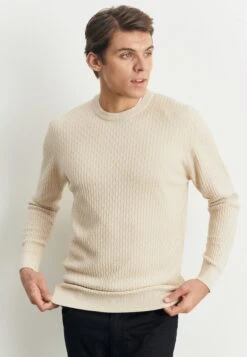STANDARD FIT - Strickpullover - Beige 10 STANDARD FIT - Strickpullover - Beige -Herrenbekleidung af7e0f2bf7d0491fa2ad65803aa00c42