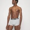 TRUNK 2 PACK - Panties - Grey 2 TRUNK 2 PACK - Panties - Grey -Herrenbekleidung c4ffe78f503842b6bbbe534d078a101b