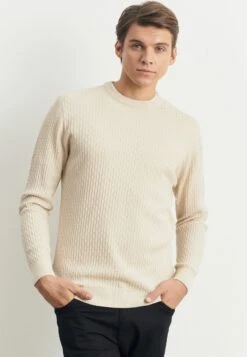 STANDARD FIT - Strickpullover - Beige