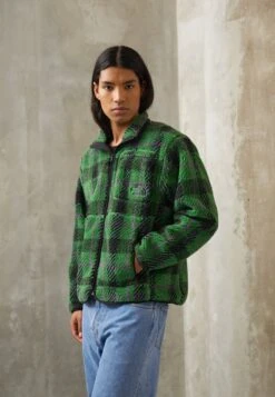 The North Face EXTREME PILE JACKET - Fleecejacke - Deep Grass Green